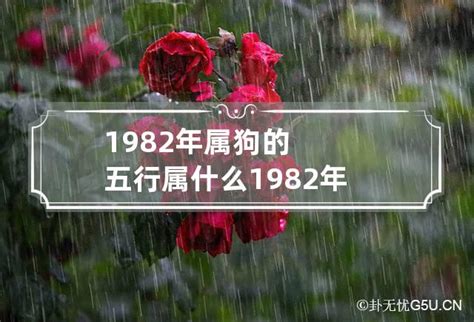 1982年五行|1982年属狗是什么命，82年出生五行属什么